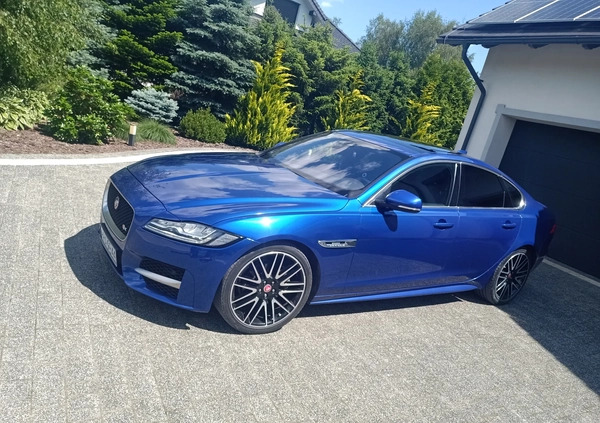 Jaguar XF cena 92000 przebieg: 54000, rok produkcji 2017 z Rawicz małe 67